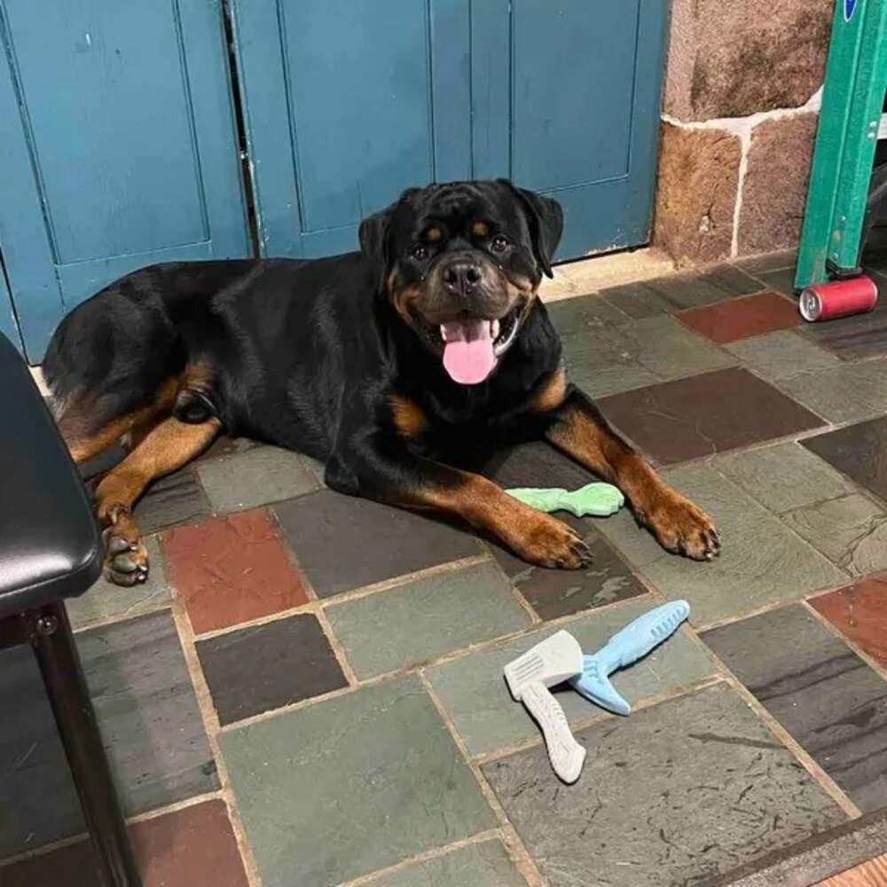 Meet your Posher, Kirsten